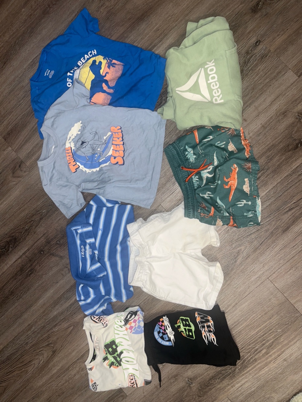 Boys 2T–3T Bundle Reebok Jacket Outfits Swim Dino Shorts 9pc Bundle